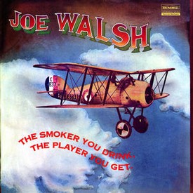 Joe Walsh - The Smoker You Drink, The Player You Get